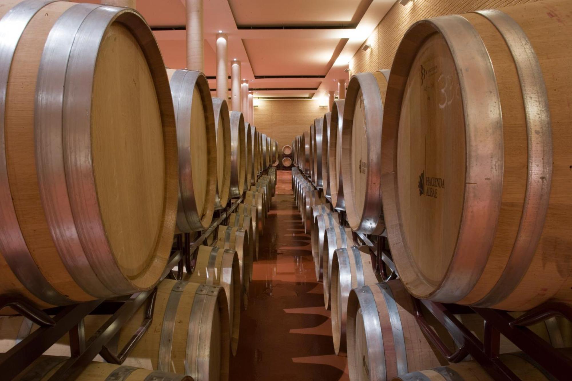 Argamasilla de Alba Bodegas Hacienda Albaeゲストハウス エクステリア 写真